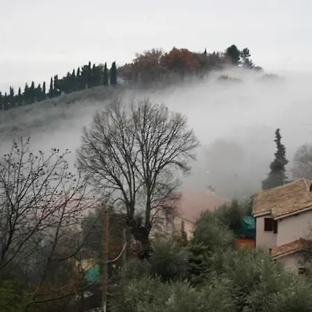 C&c Il Treggio *
