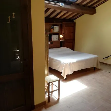 C&c Il Treggio