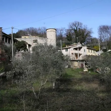 C&c Il Treggio *