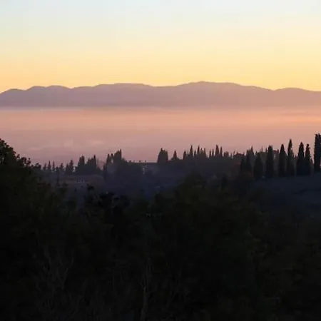 C&c Il Treggio Πανσιόν