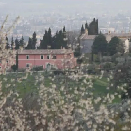 C&c Il Treggio *